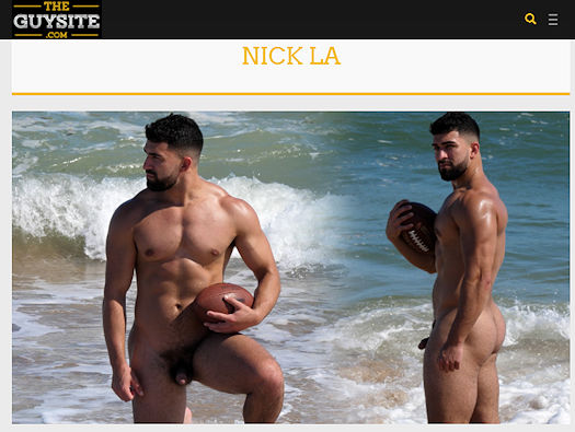 Is Nick LA a good addition to gay porn?