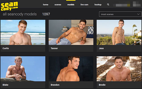 Numberofscenes_seancody