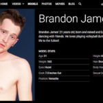 Porn stars with the same name – Brandon James